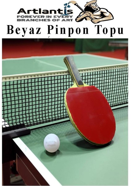 Beyaz Pinpon Topu 20 Adet Masa Tenis Topu Evcil Hayvan Kedi Oyuncağı Okul Sınıf Etkinlik Deney Topu modelleri