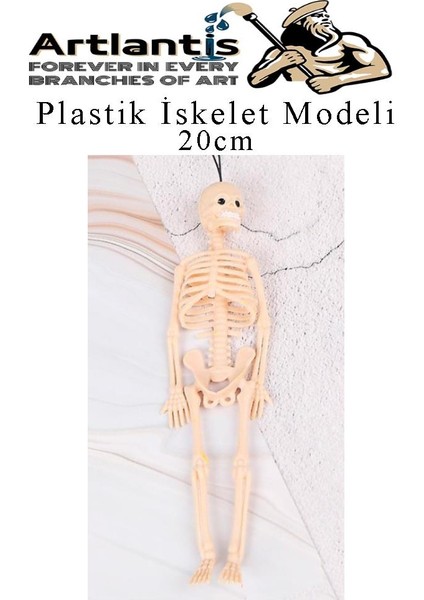 Plastik Iskelet Modeli 20 cm 1 Adet Plastik Insan Isket Modeli Silikon Iskelet Deneyi Araba Süsü