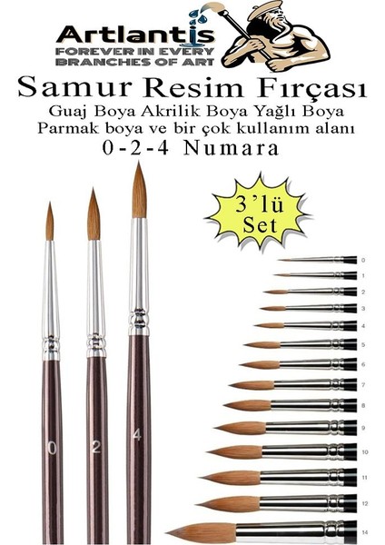 Resim Fırçası 0 - 2 - 4 Numara 1 Paket 3 Lü Samur Yuvarlak Uçlu Fırça Seti Guaj Sulu Akrilik Yağlı Boya Fırçaları