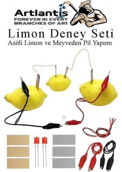 Elektrik Limon Deney Seti 1 Paket Limondan Elektrik Üretme Seti Limon Pili Fen Bilgisi Dersi Kimyasal Enerji