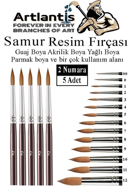 Resim Fırçası 2 Numara 5 Li 1 Paket Samur Yuvarlak Uçlu Fırça Seti Guaj Sulu Akrilik Yağlı Boya Fırçaları