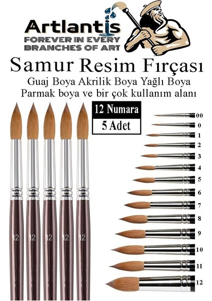 Resim Fırçası 12 Numara 5 Li 1 Paket Samur Yuvarlak Uçlu Fırça Seti Guaj Sulu Akrilik Yağlı Boya Fırçaları