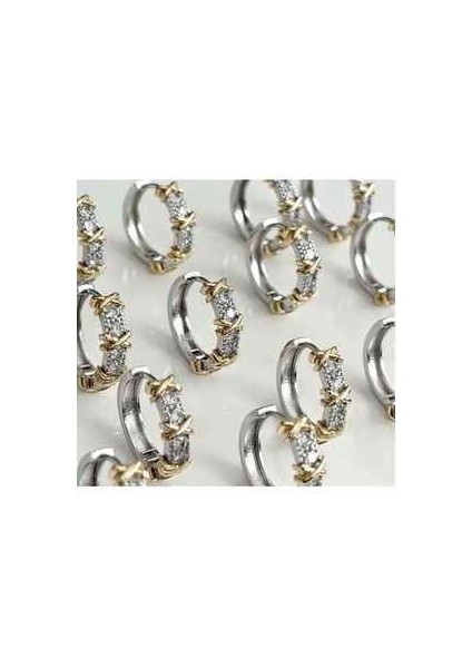 Yeni Sezon Shiny Taş ve x Detaylı Silver Küpe