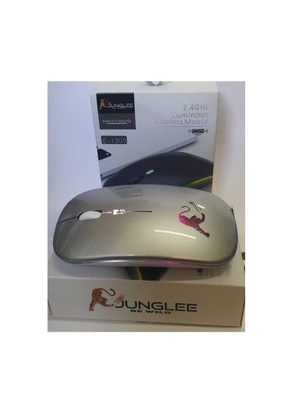 Şarjlı Kablosuz Mouse Sessiz 2.4 Ghz USB Wireless 800-1200-1600 Ayarlanabilir Dpi LED Işıklı Slient