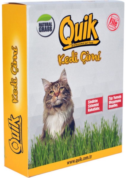 Fileli Doğal Kedi Çimi - 24 Adet
