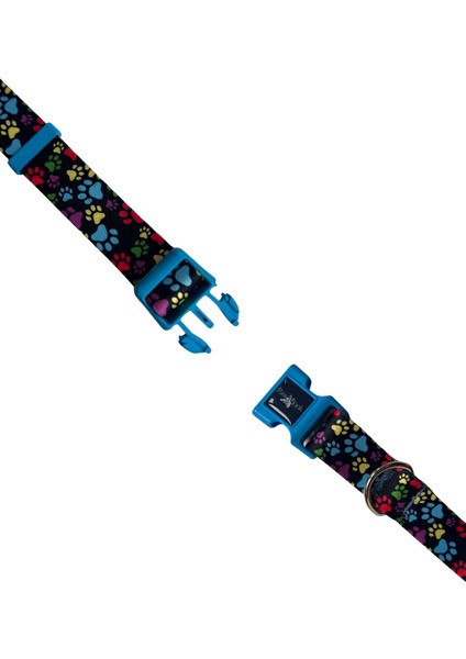 Pawlook, Köpek Boyun Tasması, Köpektasması fiyatları