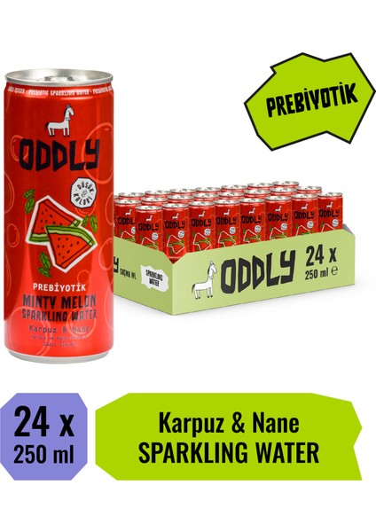 Mınty Melon Karpuz Nane Kutu 250 ml x 24 Adet
