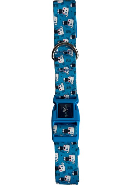 Pawlook, Köpek Boyun Tasması, Mavi Boyuntasmaıs