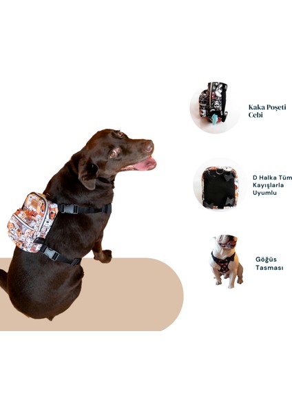 Köpek Gögüs Tasması