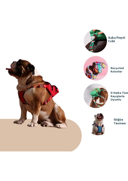 Çantalı Köpek Göğüs Tasması Yeşil Tasma