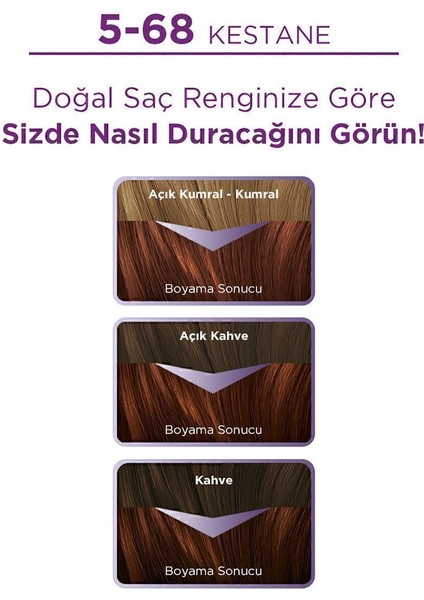Göz Alıcı Renkler Kestane Saç Boyası 5-68 Saç Boyası fiyatları