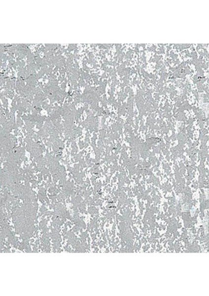 Neopastel Yumuşak Yağlı Pastel Silver 498