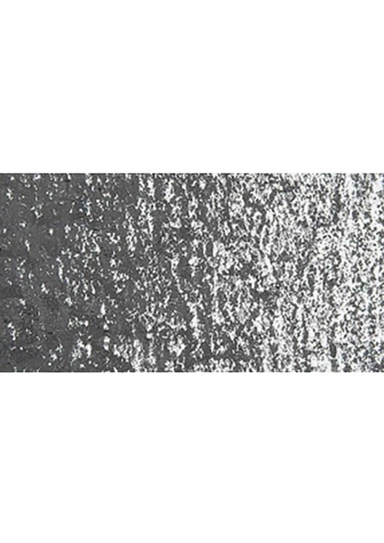 Neopastel Yumuşak Yağlı Pastel Slate Grey 495