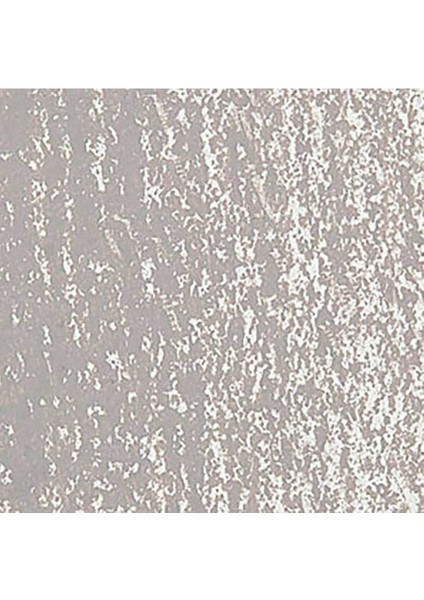 Neopastel Yumuşak Yağlı Pastel Beige 403