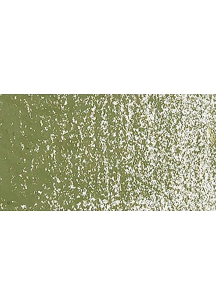 Neopastel Yumuşak Yağlı Pastel Olive 249 modelleri