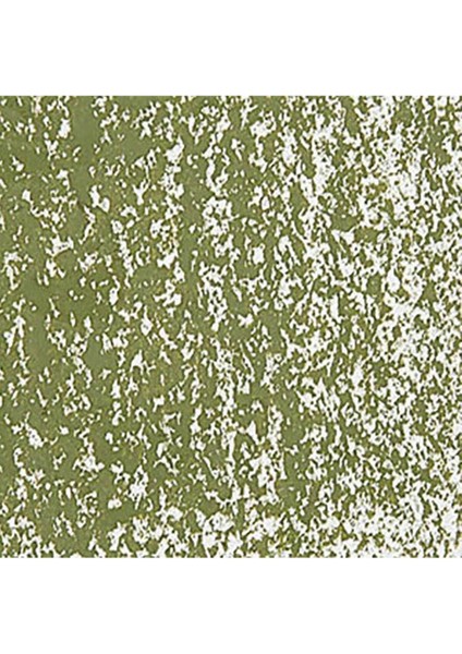 Neopastel Yumuşak Yağlı Pastel Olive 249 fırsatları