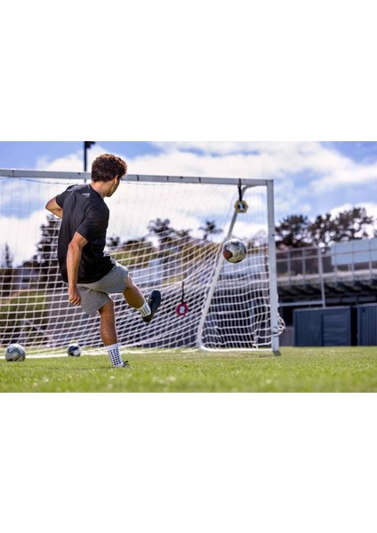 Reactive Agility Targets 10666