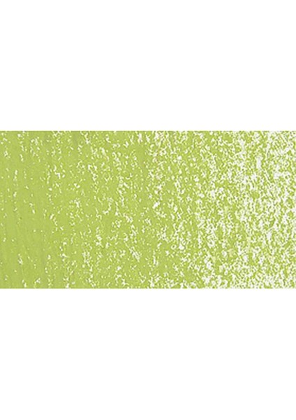 Neopastel Yumuşak Yağlı Pastel Light Olive 245 modelleri