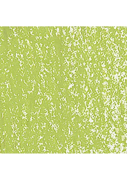 Neopastel Yumuşak Yağlı Pastel Light Olive 245 fırsatları