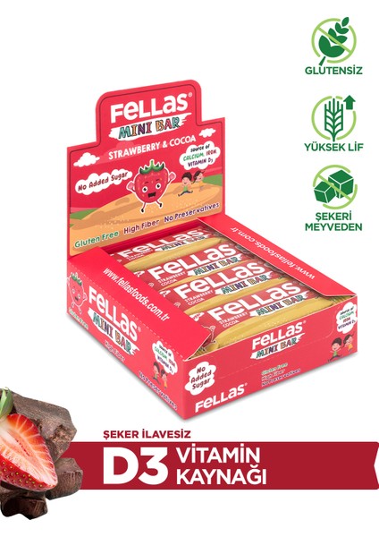 Fellas Kids Meyve Bar - Çilek ve Kakaolu x 12 Adet