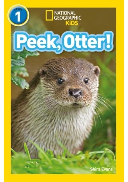Peek, Otter! (National Geographic Readers 1)