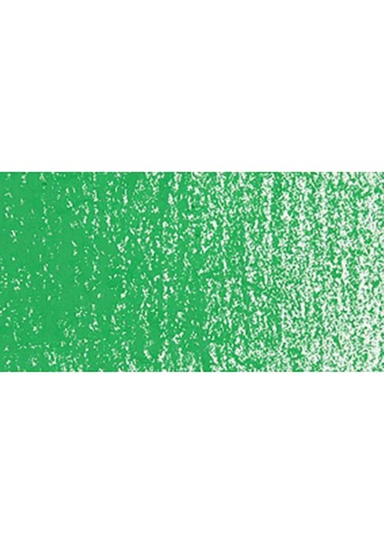 Neopastel Yumuşak Yağlı Pastel Grass Green 220