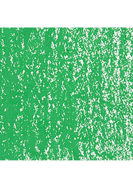 Neopastel Yumuşak Yağlı Pastel Grass Green 220