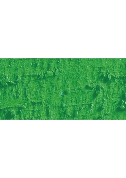 Neopastel Yumuşak Yağlı Pastel Grass Green 220