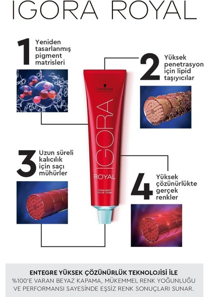 Royal Kumral Saç Boyası 60 ml – Moringa Proteinli, Mükemmel Renk Eşitliği ve Etkili Beyaz Kapama modelleri