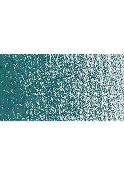 Neopastel Yumuşak Yağlı Pastel Dark Green 229 modelleri