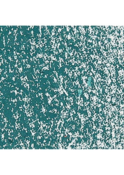 Neopastel Yumuşak Yağlı Pastel Dark Green 229 fırsatları