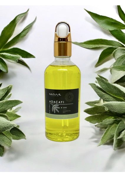 Adaçayı Esans Buhurdanlık Difüzör Parfüm Esansı Doğal Uçucu Yağ 100 ml