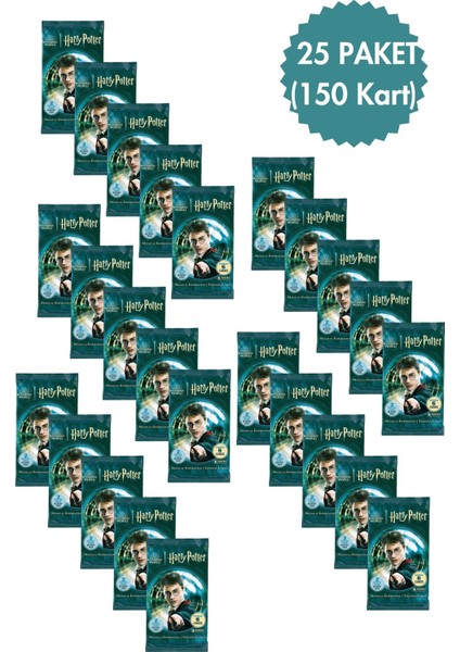 Panini Harry Potter Magical Inspiration Trading Cards 6lı x 25 Paket