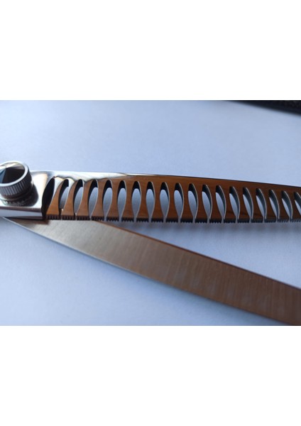 Pet Bakım Makasları Fenice Profesyonel 8.0 Inç Pet Bakım Makas Japonya 440C Inceltme Makasları Için Köpekler/kedi Güzellik Uzmanı BB-80T indirimleri