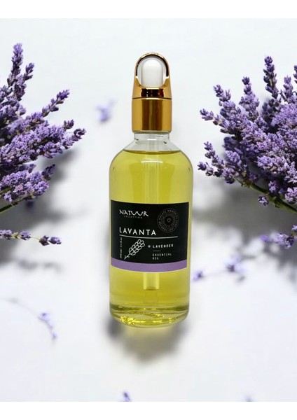 Lavanta Esans Buhurdanlık Difüzör Parfüm Esansı Doğal Uçucu Yağ 100 ml