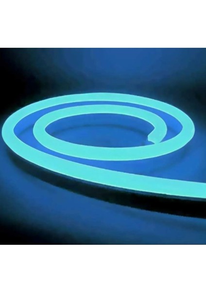 CT-4455 12V Neon LED Hortum Buz Mavi Işık 1 Metre