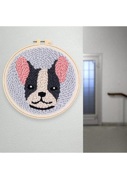Yumruk Iğne Kiti Yumruk Iğne Köpek Nakış Dişli Aracı Dıy Iğne C (Yurt Dışından)
