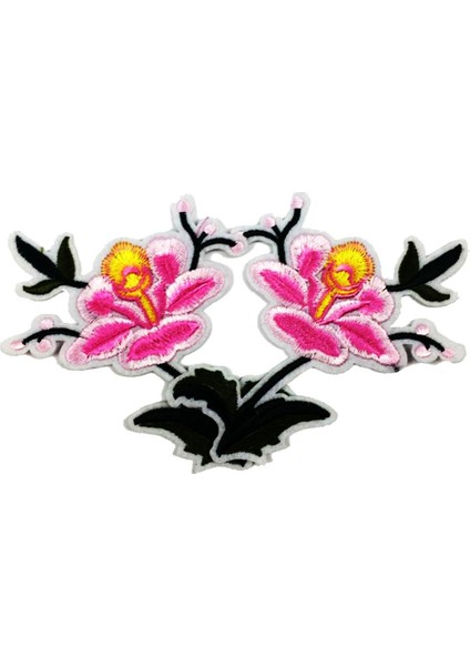 Giysi Giysi Üzerinde Dikiş Için 2 Adet Nakış Yamaları Scrapbooking (Yurt Dışından) fiyatları