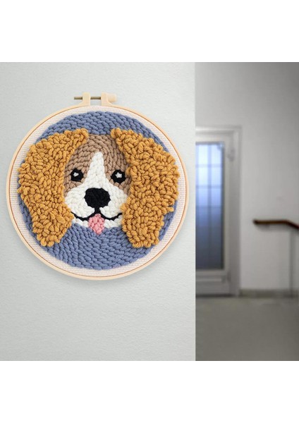 Yumruk Iğne Kiti Yumruk Iğne Köpek Nakış Dişli Aracı Dıy Iğne A (Yurt Dışından)