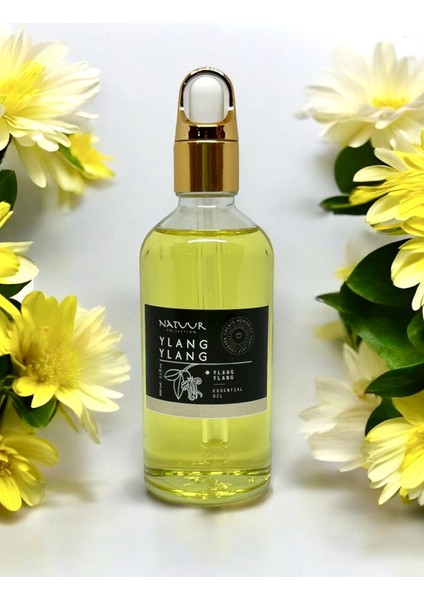 Ylang Ylang Esans Buhurdanlık Difüzör Parfüm Esansı Doğal Uçucu Yağ 100 ml
