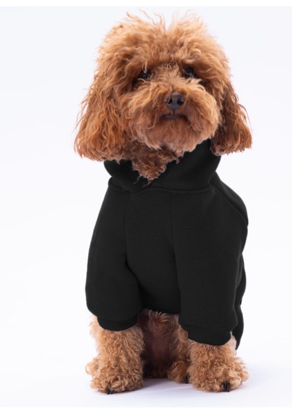 Siyah Kanguru Cepli Kedi-Köpek Hoodie- Sweatshirt
