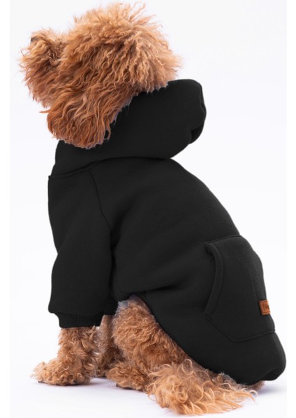 Siyah Kanguru Cepli Kedi-Köpek Hoodie- Sweatshirt fiyatları