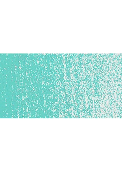 Neopastel Yumuşak Yağlı Pastel Turquoise Green 190 modelleri