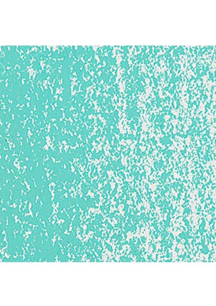 Neopastel Yumuşak Yağlı Pastel Turquoise Green 190 fırsatları