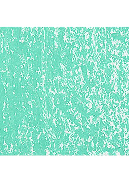 Neopastel Yumuşak Yağlı Pastel Jade Green 211
