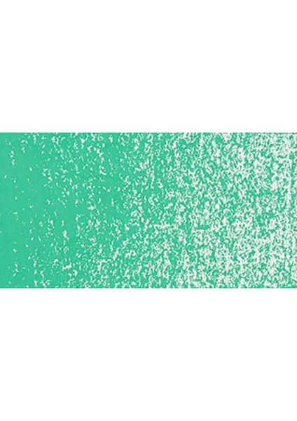 Neopastel Yumuşak Yağlı Pastel Veronese Green 201 modelleri