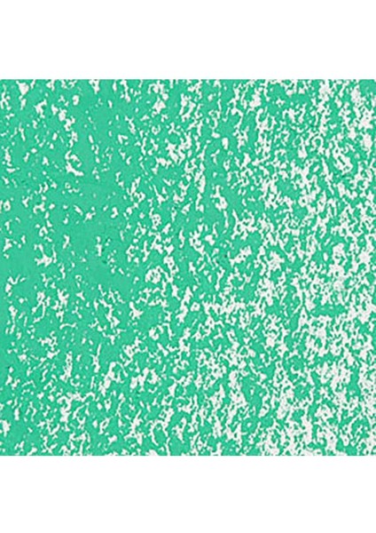 Neopastel Yumuşak Yağlı Pastel Veronese Green 201 fırsatları
