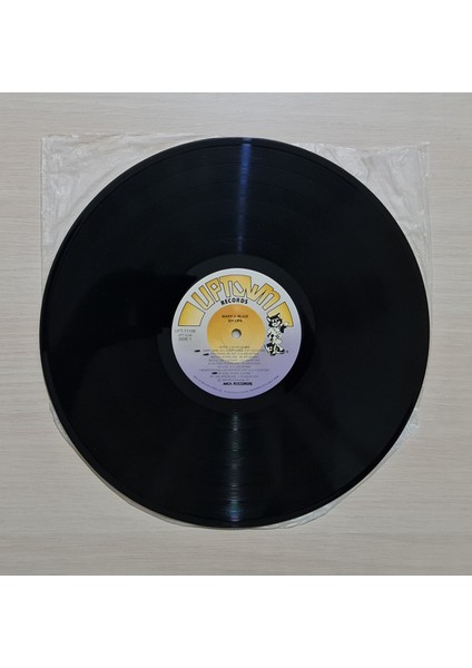 - My Life - 1994 Ilk Baskı - Dönem Baskı Plak - Longplay - Lp modelleri