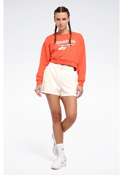 New Id Crp Crew Yavruağzı Kadın Sweatshirt modelleri