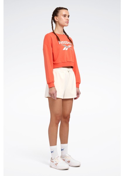 New Id Crp Crew Yavruağzı Kadın Sweatshirt indirimleri